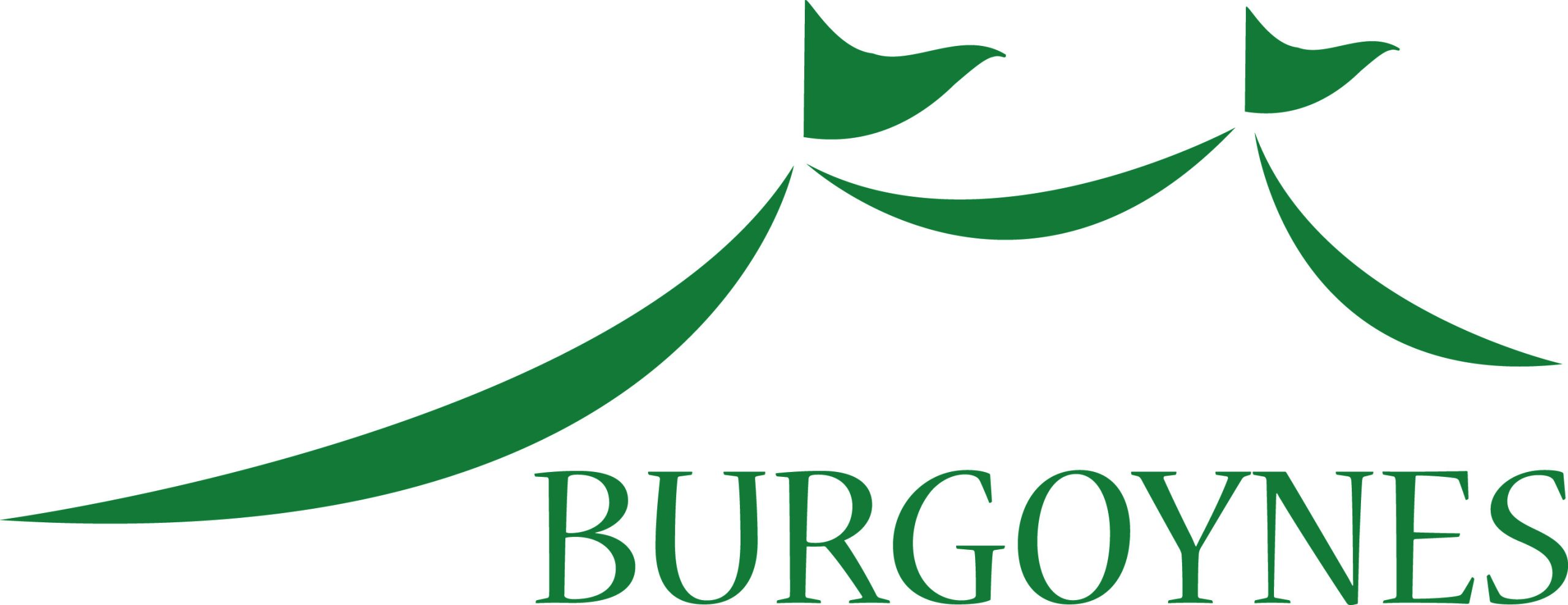Burgoynes